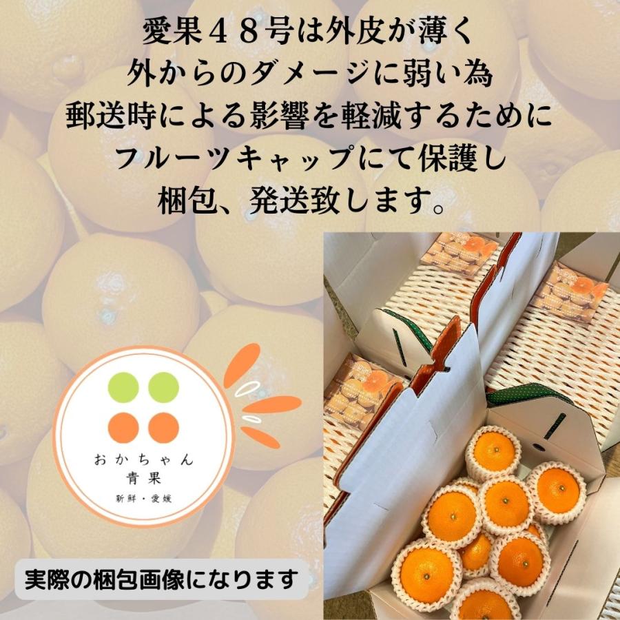 愛媛県産 愛果48号 ご家庭向 2kg M玉前後 迅速発送 送料無料