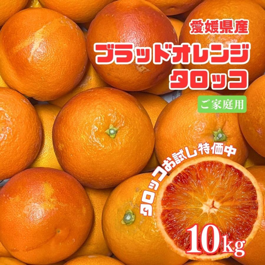 豊作還元特価 ブラッドオレンジ 稀少国産 愛媛県産 ご家庭用 10kg