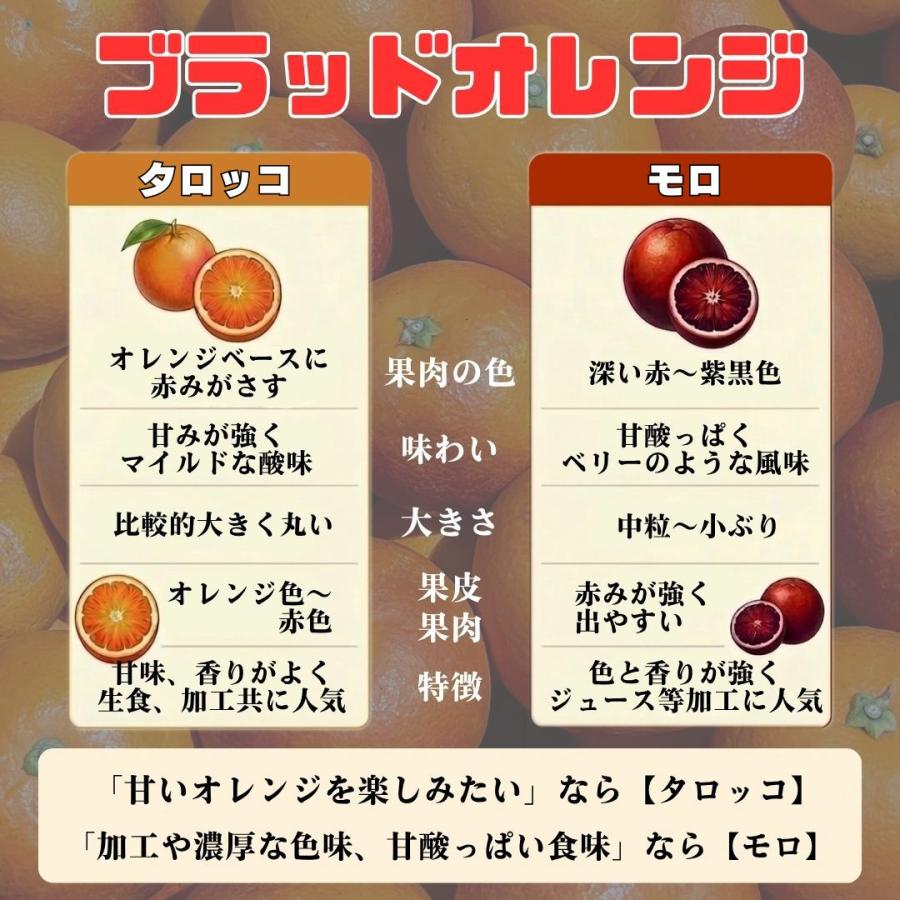 YUO　愛媛県産　ブラッドオレンジ　柑橘　10kg 豊作還元特価 ブラッドオレンジ 稀少国産 愛媛県産 ご家庭用 10kg