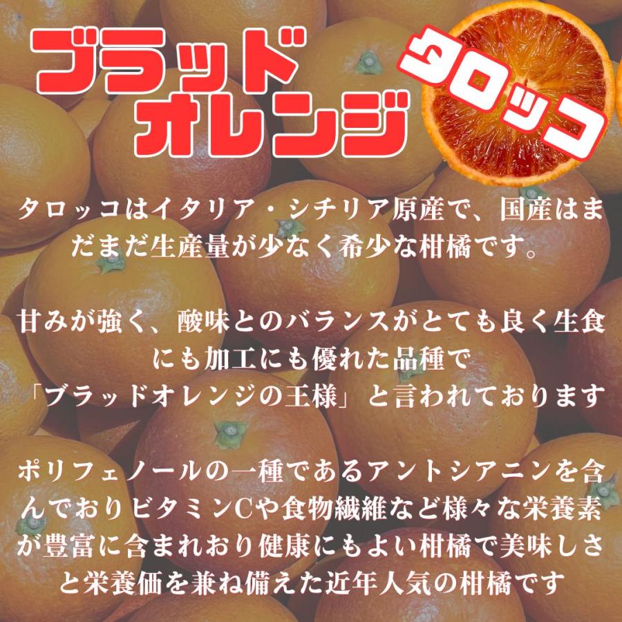 豊作還元特価 ブラッドオレンジ 稀少国産 愛媛県産 ご家庭用 10kg