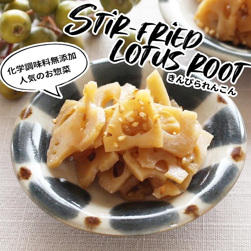 お惣菜セット 冷凍おかず おかず セット 冷凍食品 無添加 お惣菜