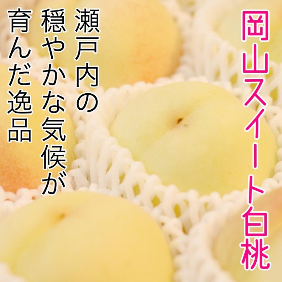 岡山白桃 岡山県産 白桃 岡山スイート白桃 ロイヤル 約3.5kg 10〜16玉 桃 御中元 ギフト 送料込み 予約商品_1