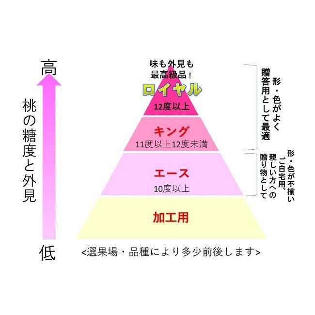 岡山白桃 岡山県産 白桃 岡山スイート白桃 ロイヤル 900g 3玉 桃 御中元 ギフト|okayama-ichibanet|03