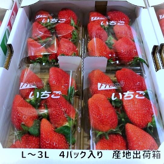 スターナイト 岡山県産 L〜3Lサイズ 4パック入 贈答 流通箱 送料込み