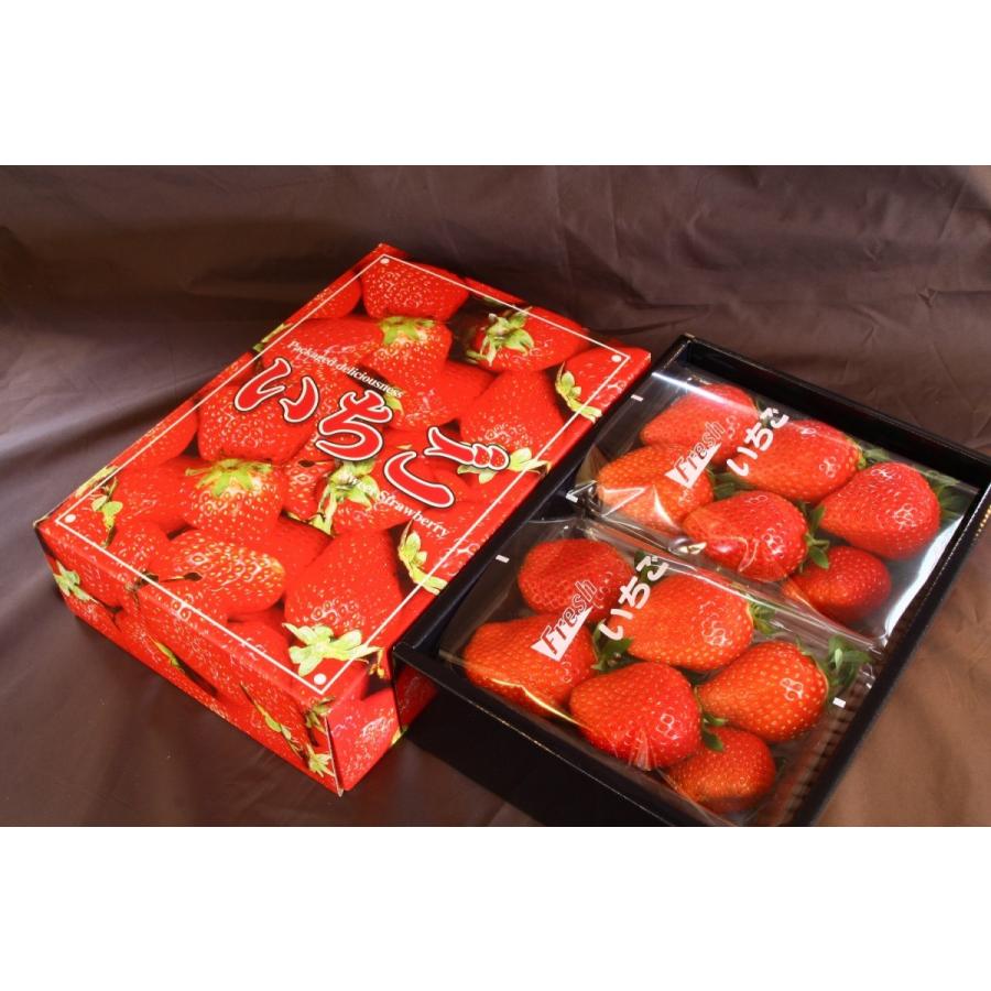 やよいひめ 岡山県産 いちご 2l 3lサイズ 2パック入 化粧箱 贈答用 イチゴ Strawberry 002 岡山中央卸売市場ネット 通販 Yahoo ショッピング