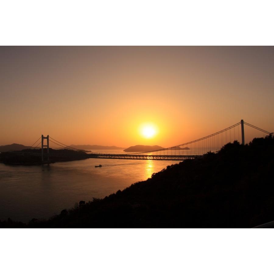 海苔 焼き海苔 岡山県産 新の頂 のり 全型10枚 一番摘み おにぎり 手巻き おにぎらず |  | 06