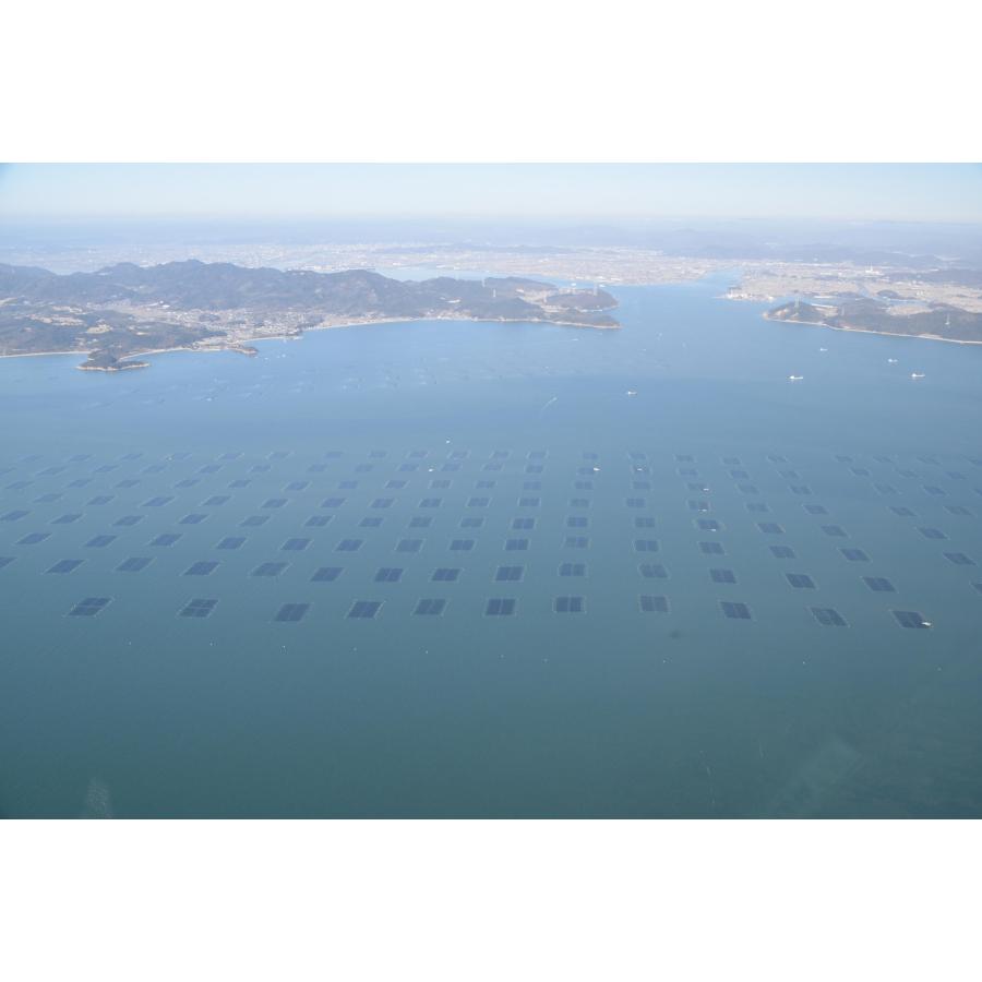 海苔 焼き海苔 全型8枚 岡山県産 烏城ブラック 岡山城 焼のり |  | 05