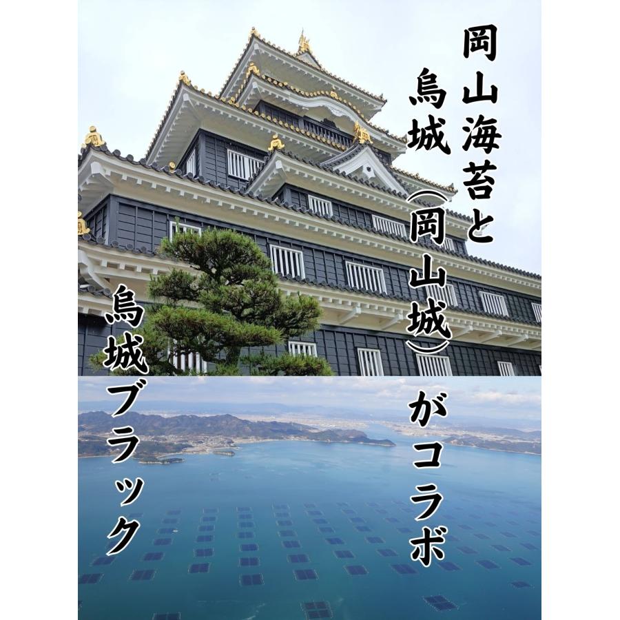 岡山県産　烏城ブラック　味付けのり　ピリ辛　PET　ボトル　8切48枚｜okayamagyoren｜08