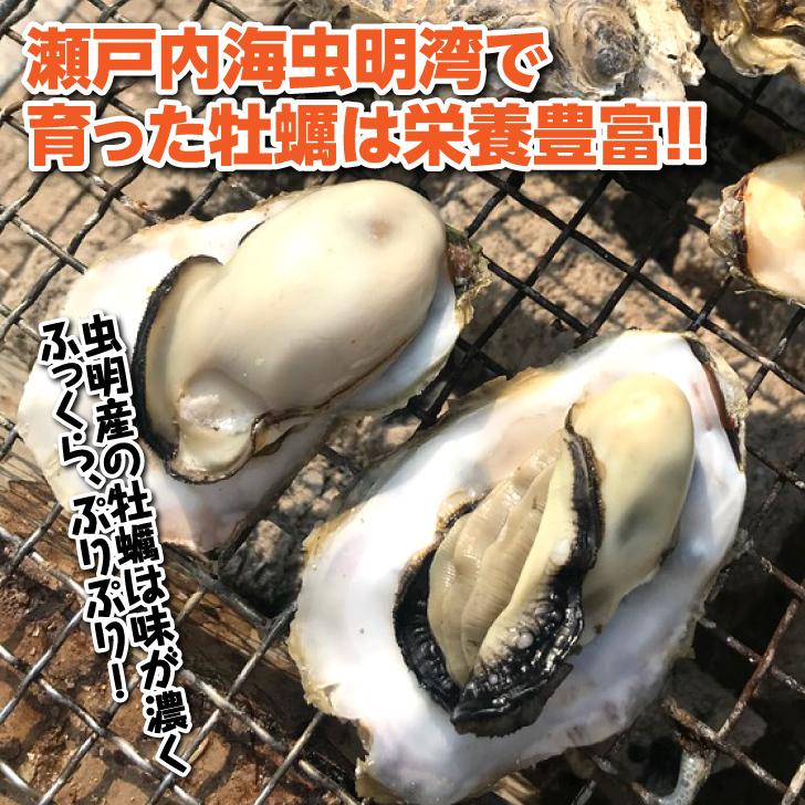 虫明産3年牡蠣殻つき一斗缶 楽天市場 | 岡山産直工房 - 【牡蠣 通販の