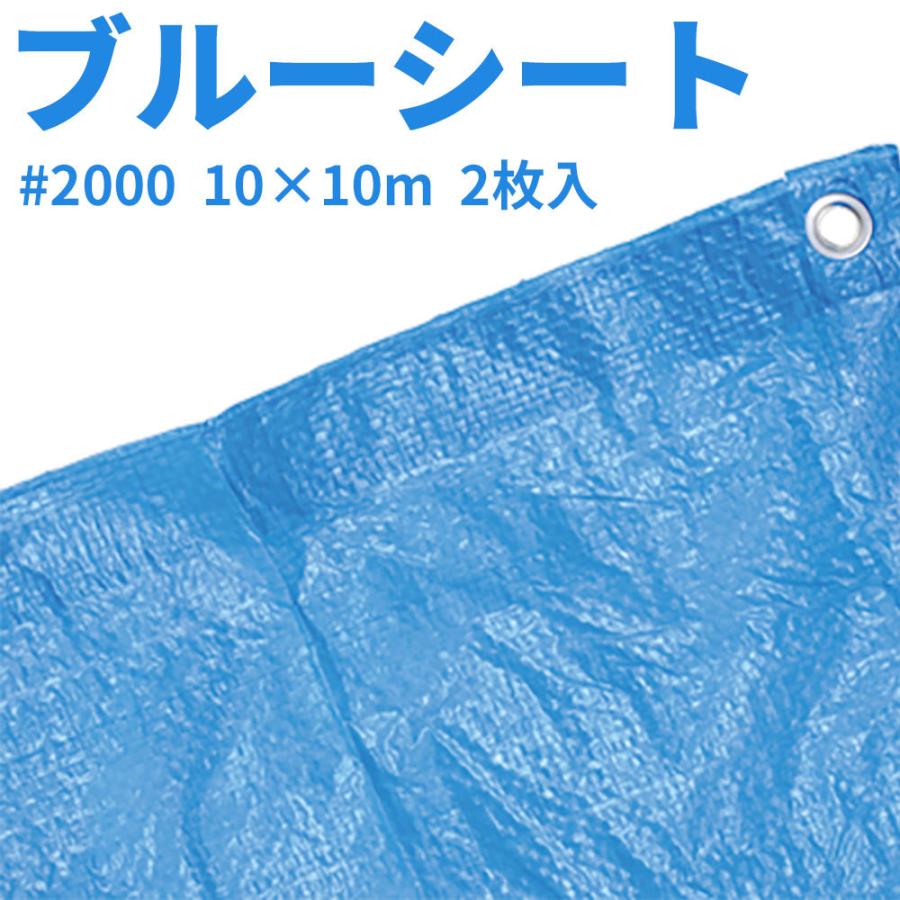 ブルーシート #2000 10×10m 2枚入 : palex-32-bs2-10x10 : 目利き屋 
