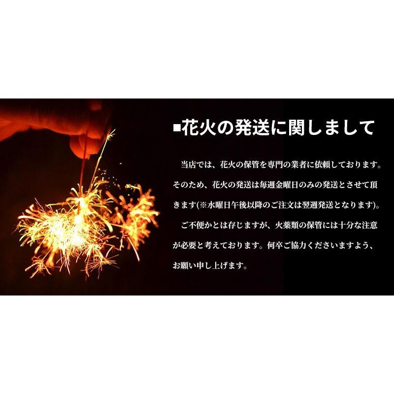 花火 国産 ピンクシャンパン 3486 : 目利き屋 - 通販 - Yahoo!ショッピング