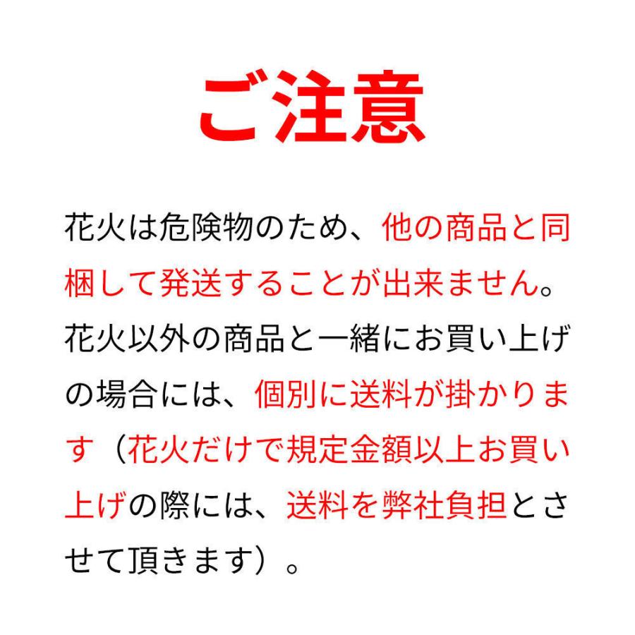 花火 13連火炎砲|okazaki-seizai|02