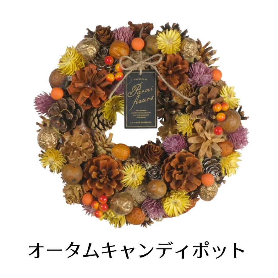 秀〆（HIDESHIME） リース 秋 冬 オータム ドライフラワー Lサイズ M
