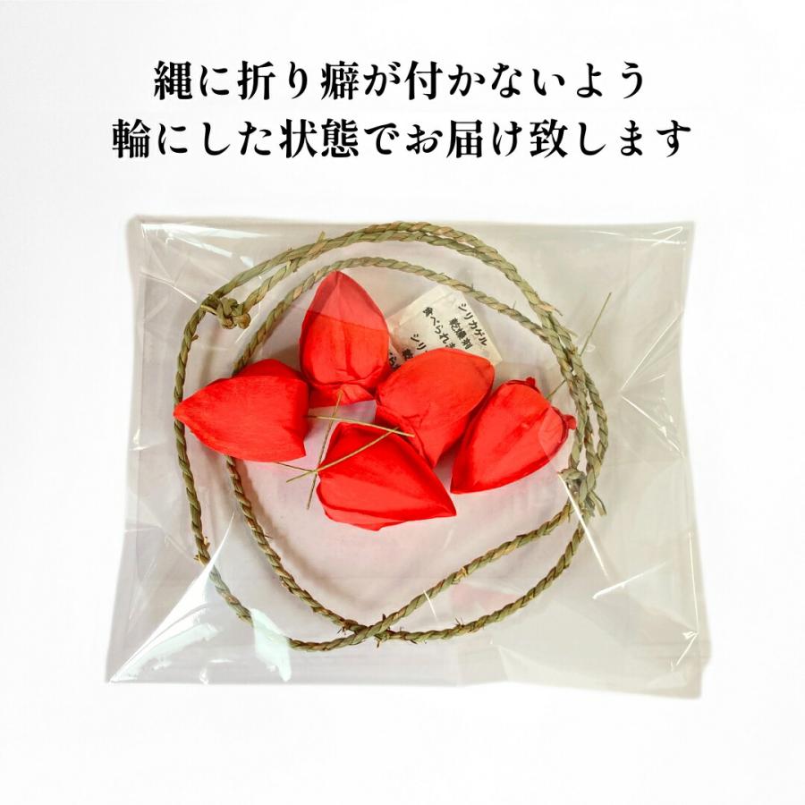 秀〆（HIDESHIME） 120cm 七夕 笹 竹 ほおずき まこも縄 盆棚 お盆用品