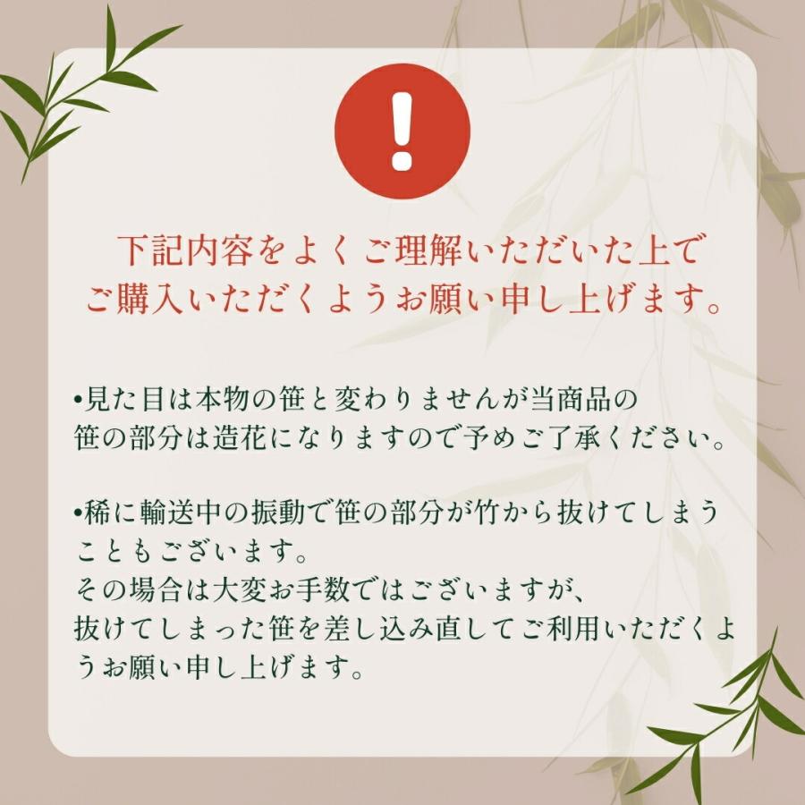 秀〆（HIDESHIME） 120cm 七夕 笹 竹 ほおずき まこも縄 盆棚 お盆用品