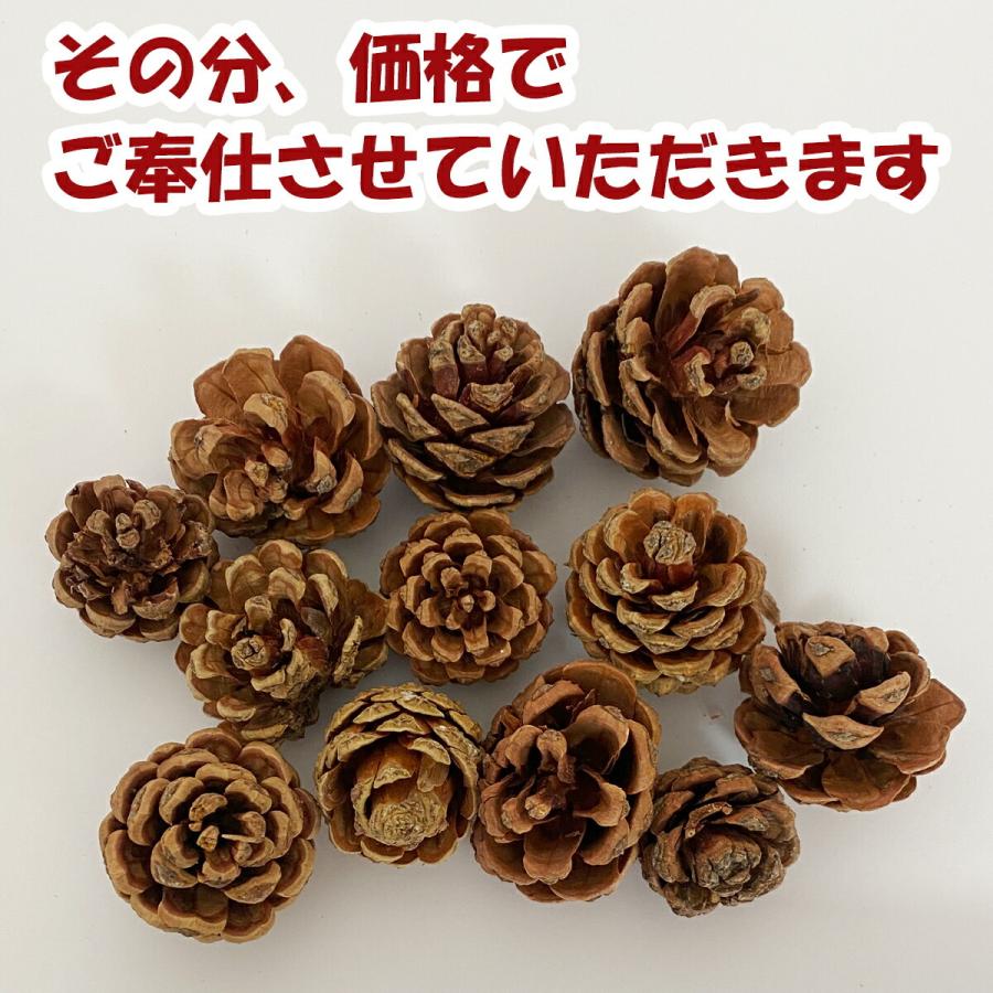 秀〆（HIDESHIME） 水引 材料 松ぼっくり パーツ 素材 ハンドメイド