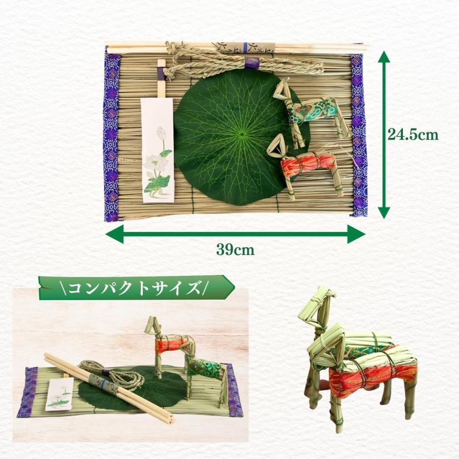 ひらぽんまさぽんさまお取り置き中 ひらぽんまさぽんさまお取り置き中 ひらぽんまさぽんさまお取り置き中