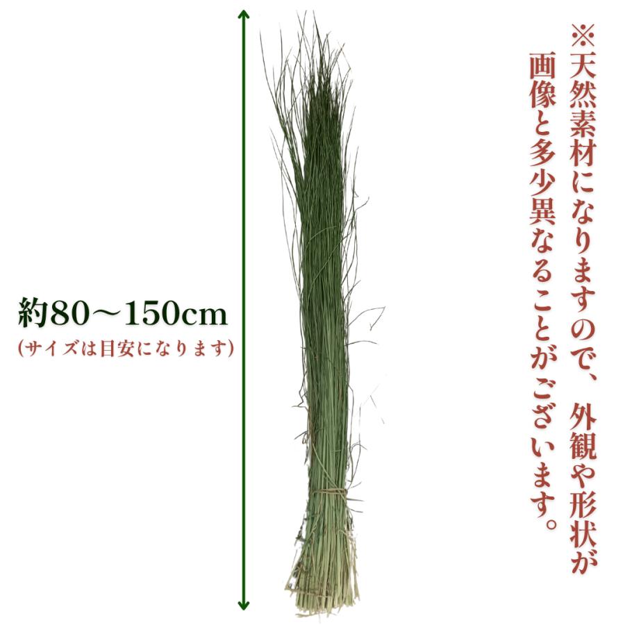 秀〆 正月飾り 材料 青藁 青わら 国産 1kg 大容量 お徳用 藁 わら 稲