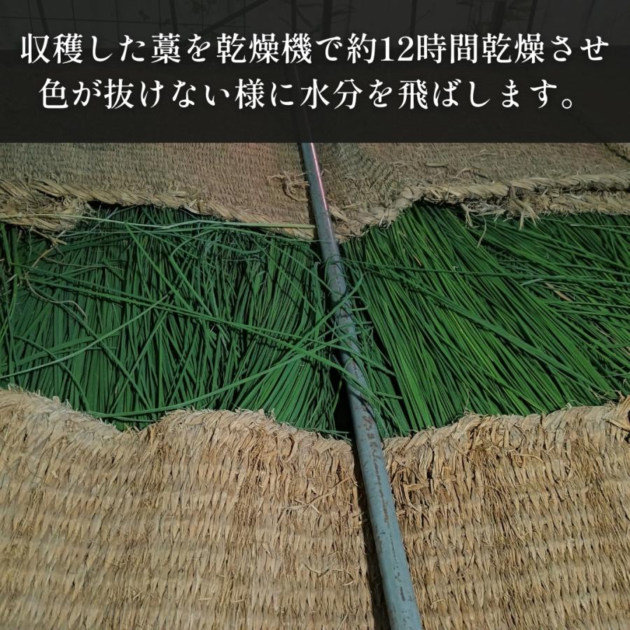 秀〆（HIDESHIME） 正月飾り 材料 青藁 青わら 国産 20kg 大容量 お