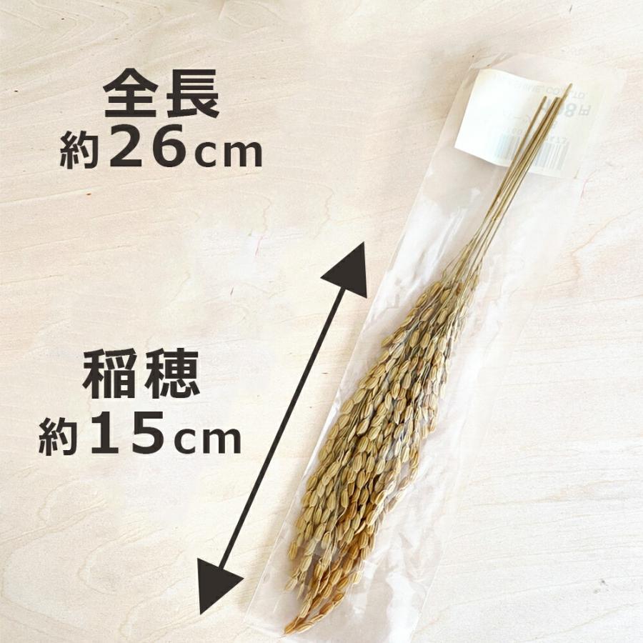 秀〆（HIDESHIME） 稲穂 5本入り×10セット 爆買 : 正月飾り しめ縄