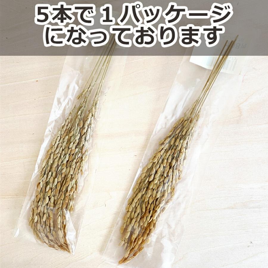 秀〆（HIDESHIME） 稲穂 5本入り×10セット 爆買 : 正月飾り しめ縄