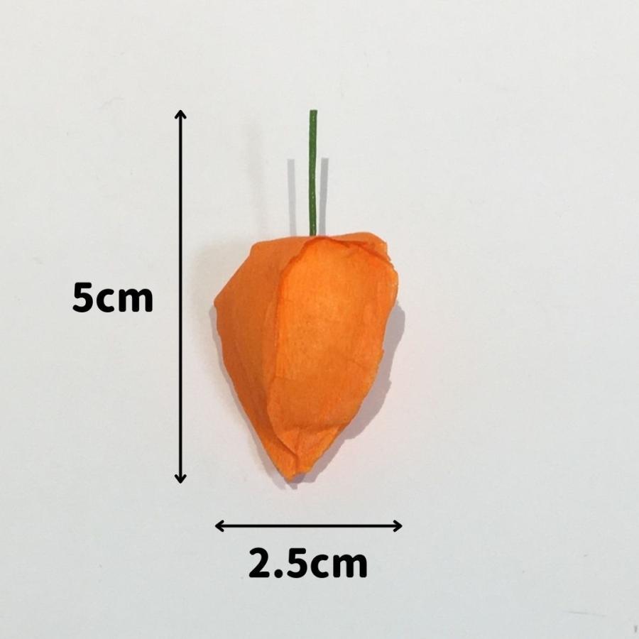 専用✨迎春2022✨正月飾り スカシホオズキ (ドライ) 楽天市場】【ふるさと納税】ほおずき ドライフラワー 観賞用 100cm 3本