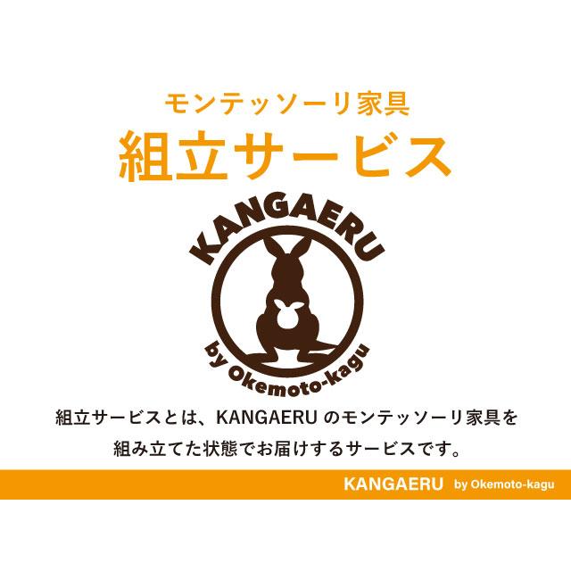 組立サービス】KANGAERU カンガエル Learning Tower ラーニングタワー