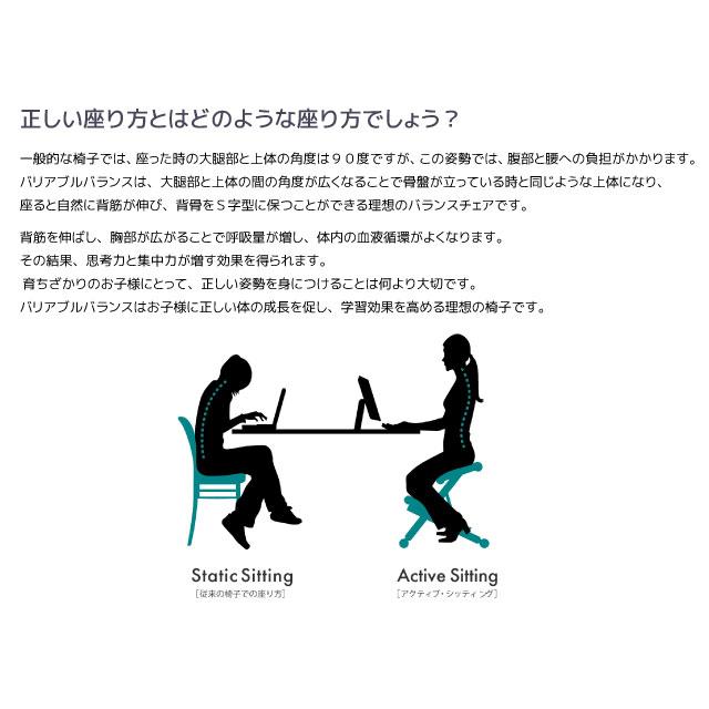 varier VARIER ヴァリエール 【正規取扱販売店】バランスチェア varier VARIER ヴァリエール 【正規取扱販売店】バランスチェア