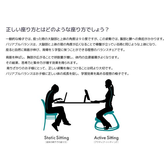 varier VARIER ヴァリエール 【正規取扱販売店】バランスチェア varier VARIER ヴァリエール 【正規取扱販売店】バランスチェア