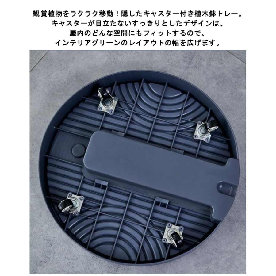 キャスター付き 鉢置きスタンド 鉢台 鉢置き 静音キャスター 鉢受台 鉢置台 排水トレー付き 鉢皿 受け皿 受皿 台車 植木鉢台 鉢植え台 プランター |  | 14