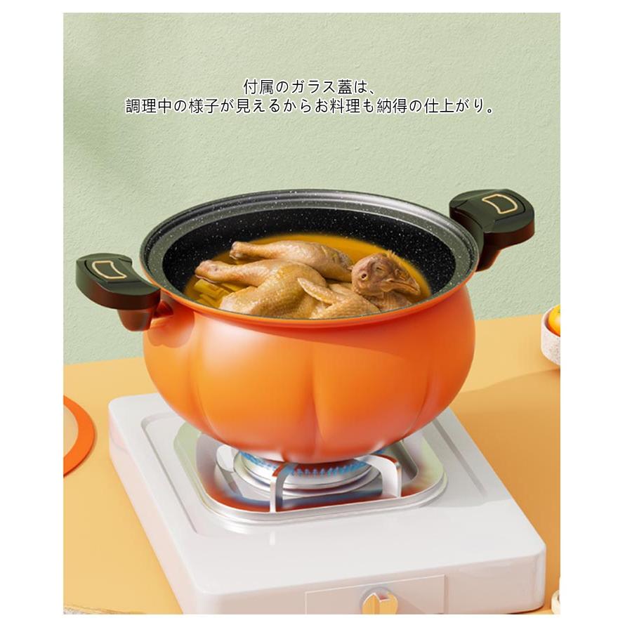 しばのキッチン 炊飯鍋 煮込み鍋 4点セット 料理ブック付き しば