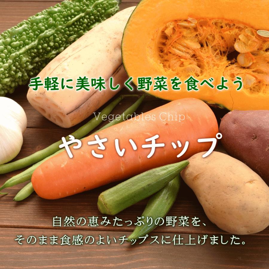 おつまみ 野菜 チップス オクラチップ 300g ギフト :APT-023:オーケーフルーツ - 通販 - Yahoo!ショッピング