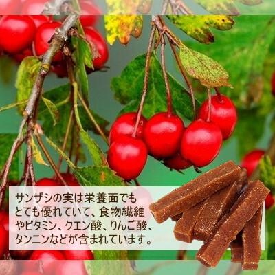 ドライフルーツ ドライ サンザシ 400g 無添加 最高級 山査子 おつまみ
