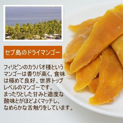 ドライフルーツ 無添加 半生 ドライマンゴー 500g フィリピン セブ島産