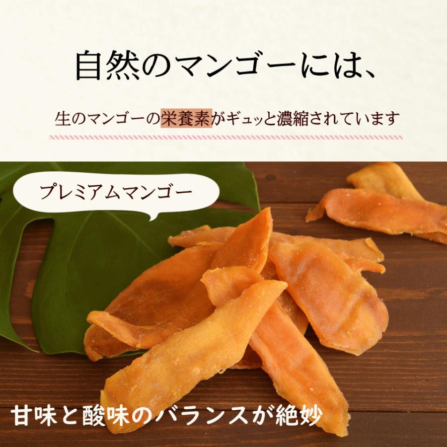 ドライフルーツ 無添加 半生 ドライマンゴー 500g フィリピン セブ島産