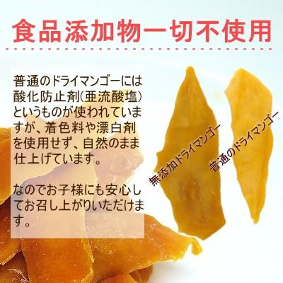 ドライフルーツ 無添加 半生 ドライマンゴー 500g フィリピン セブ島産
