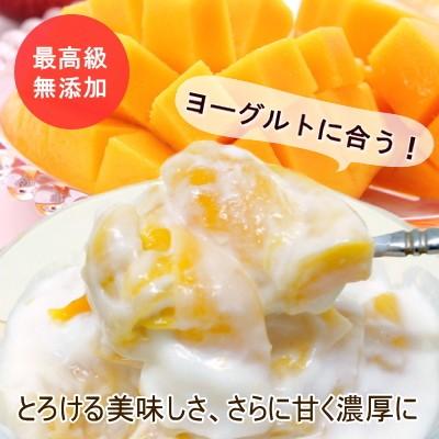 ドライフルーツ 無添加 半生 ドライマンゴー 500g フィリピン セブ島産