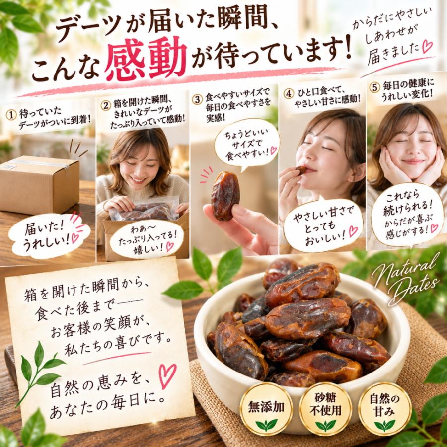 ドライフルーツ デーツ 700g 種なし 無添加 砂糖不使用 ノンオイル