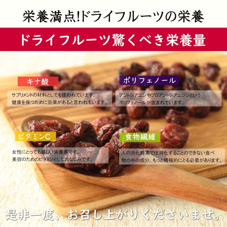 ドライフルーツ ドライクランベリー 1kg(500g×2) アメリカ産 無添加
