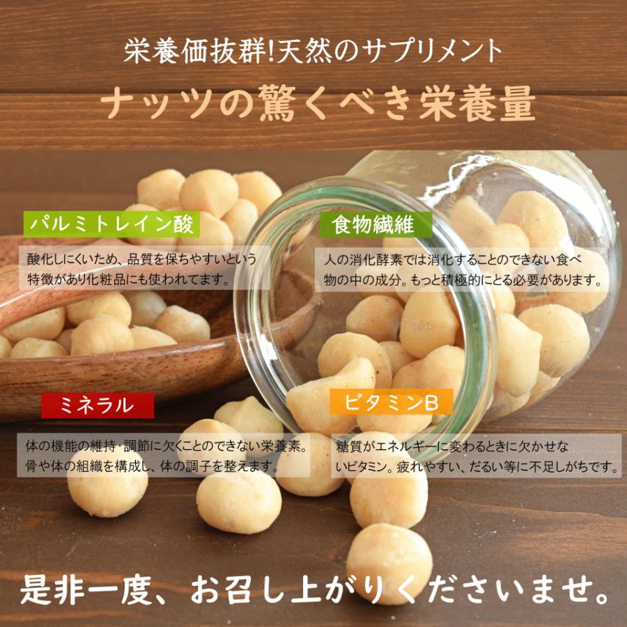 ナッツ 素焼き 無塩 マカダミアナッツ 500g 南アフリカ産 無添加 無油