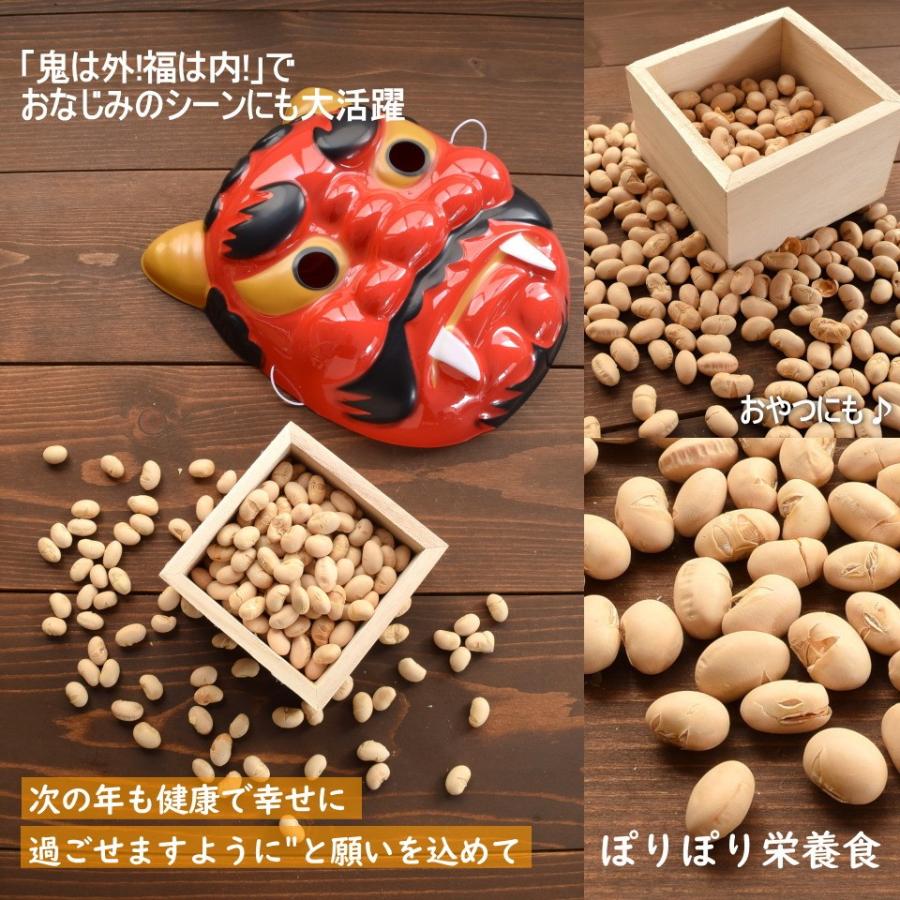 大豆 300g 送料無料 国産大豆 煎り大豆 白大豆 300g入り 大豆 煎り大豆 白大豆 300g Nut 081 オーケーフルーツ 通販 Yahoo ショッピング