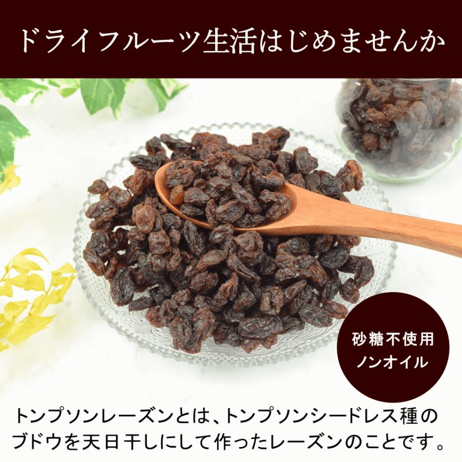 ドライフルーツ 有機 レーズン 1kg(500g×2) オーガニック 有機JAS 無