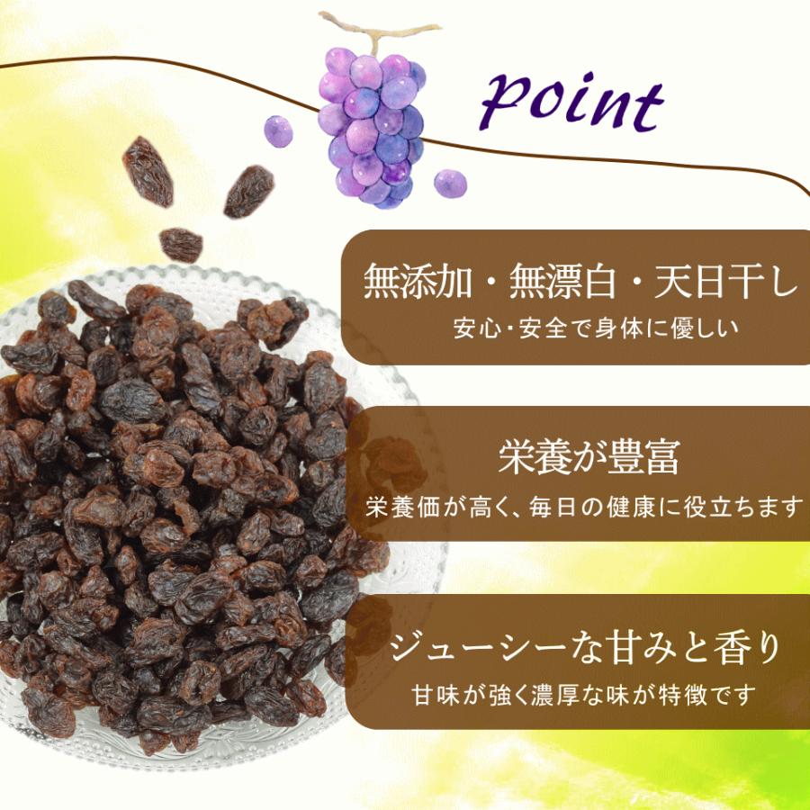 ドライフルーツ 有機 レーズン 1kg(500g×2) オーガニック 有機JAS 無