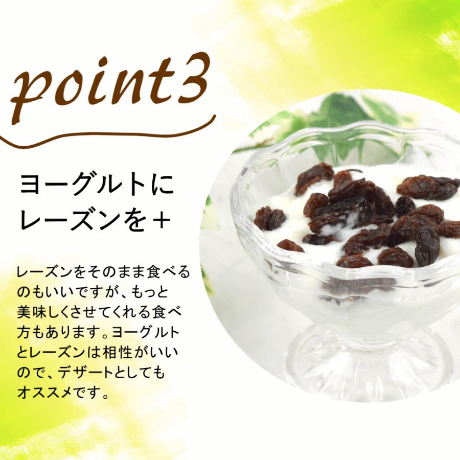 ドライフルーツ 有機 レーズン 1kg(500g×2) オーガニック 有機JAS 無