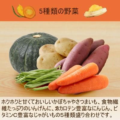 おつまみ 野菜 チップス 5種盛り 野菜チップ 150g おやつ 非常食 ギフト｜okfruit｜05