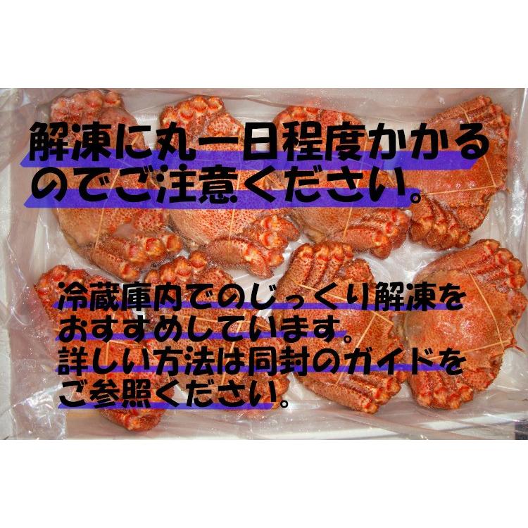 毛ガニ 北海道産 約670g 1尾入り ボイル済 送料無料 ギフト 毛がに カニ かに 蟹 特大｜okhotsk-ajikikoh｜05