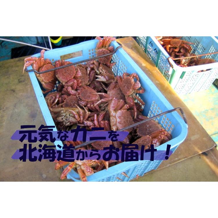 毛ガニ 北海道産 約670g 1尾入り ボイル済 送料無料 ギフト カニ かに 蟹 :kegani03:オホーツク味紀行 - 通販 - Yahoo!ショッピング 毛ガニ 北海道産 約670g 1尾入り ボイル済 送料無料 ギフト カニ かに 蟹 :kegani03:オホーツク味紀行 - 通販 - Yahoo!ショッピング