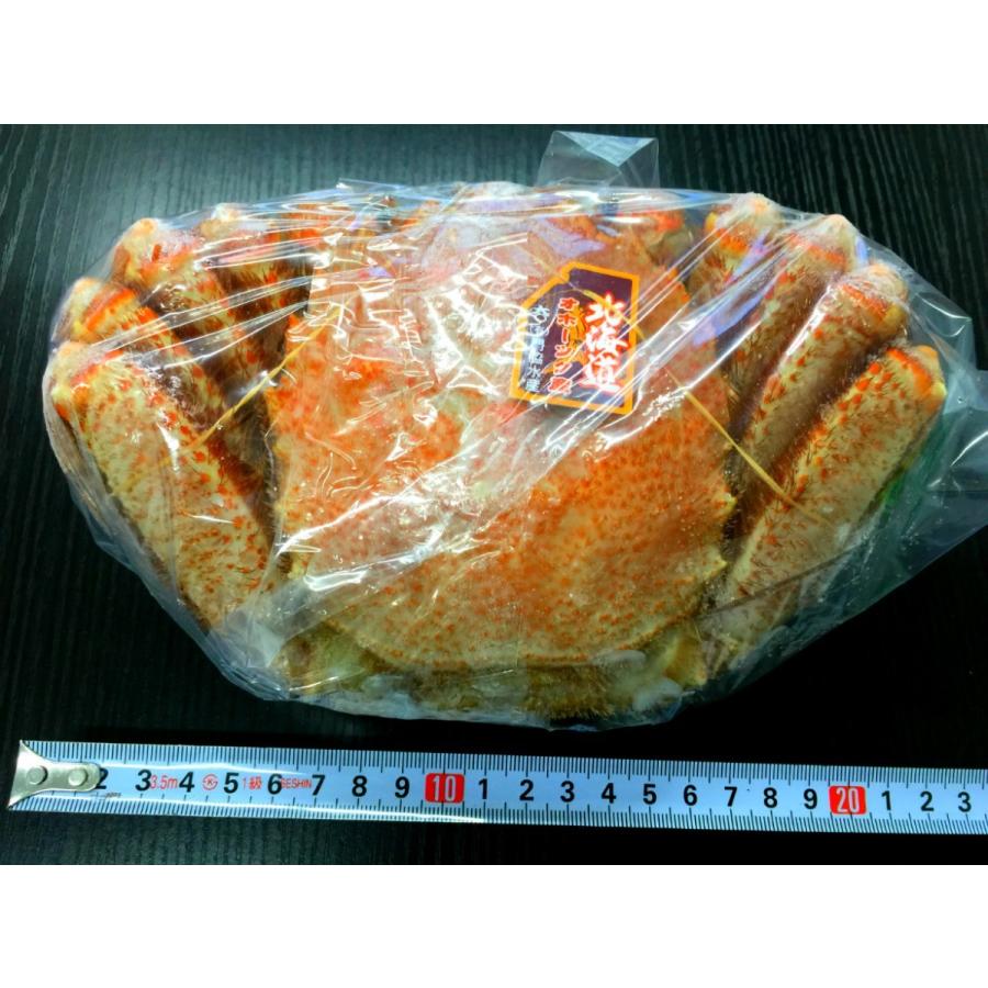 毛ガニ 北海道産 約670g 1尾入り ボイル済 送料無料 ギフト カニ かに 蟹 :kegani03:オホーツク味紀行 - 通販 - Yahoo!ショッピング 毛ガニ 北海道産 約670g 1尾入り ボイル済 送料無料 ギフト カニ かに 蟹 :kegani03:オホーツク味紀行 - 通販 - Yahoo!ショッピング