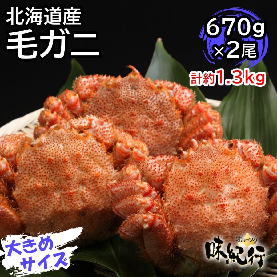 毛ガニ 北海道産 約670g×2尾入り ボイル済 送料無料 ギフト カニ かに 蟹 :kegani06:オホーツク味紀行 - 通販 - Yahoo!ショッピング 毛ガニ 北海道産 約670g×2尾入り ボイル済 送料無料 ギフト カニ かに 蟹 :kegani06:オホーツク味紀行 - 通販 - Yahoo!ショッピング