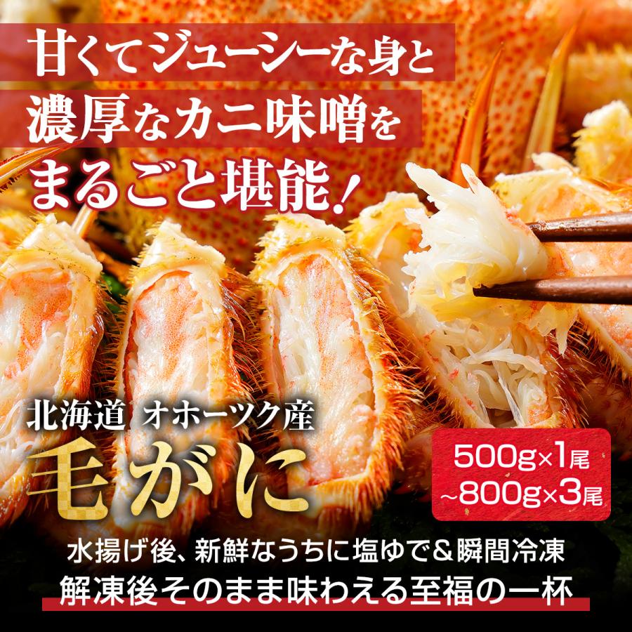 毛ガニ 北海道産 約670g×2尾入 ボイル済 ギフト 毛蟹 毛がに 毛ガニ 北海道産 約670g×2尾入 ボイル済 ギフト 毛蟹 毛がに